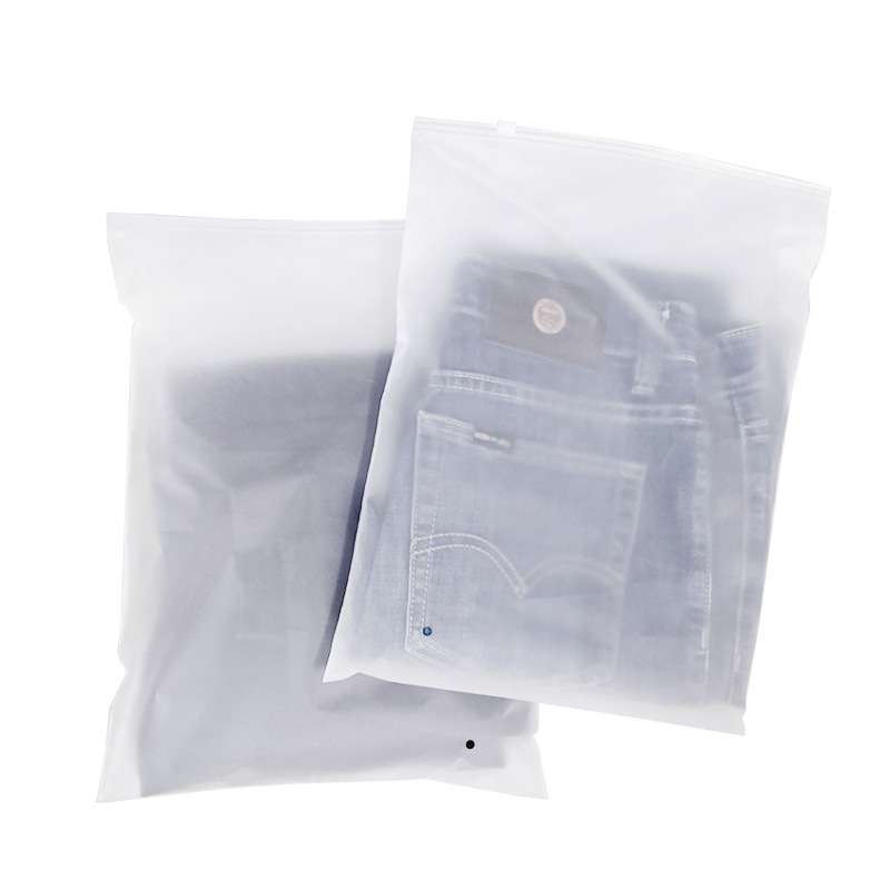 Custom Matte and Frosted PE Plastic Packaging Zipper Bags Zip Lock Clothing Bags